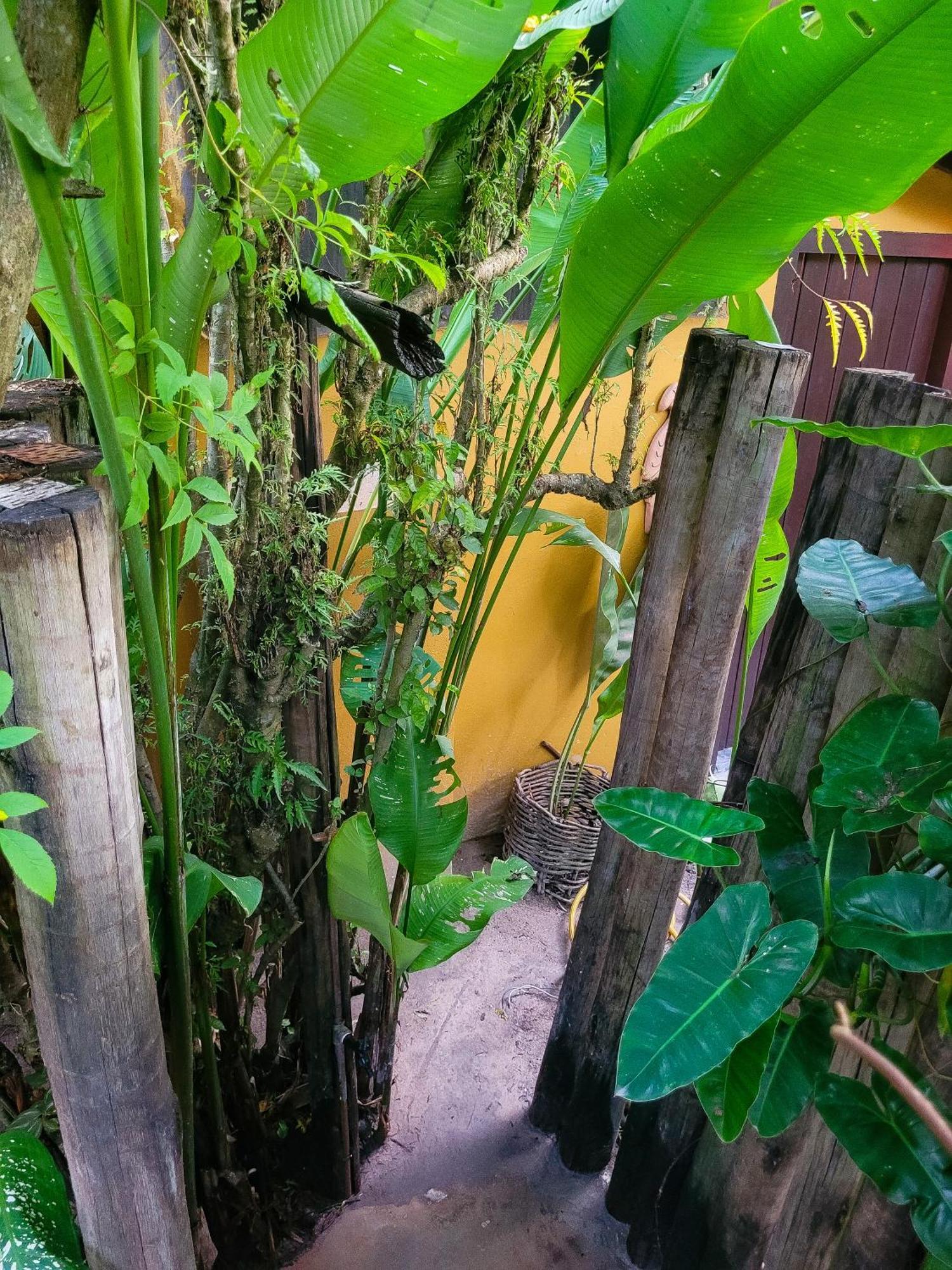 Pousada Raiz Forte Caraíva Exterior foto